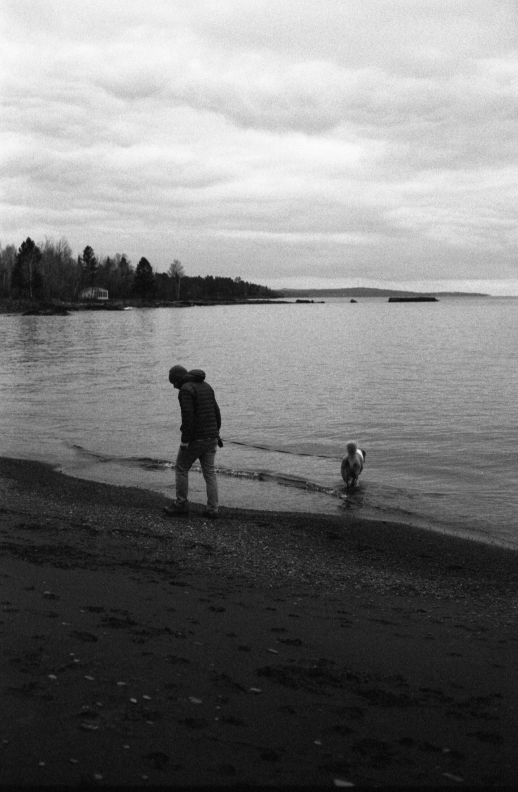 BWfinal mock0004 (1)