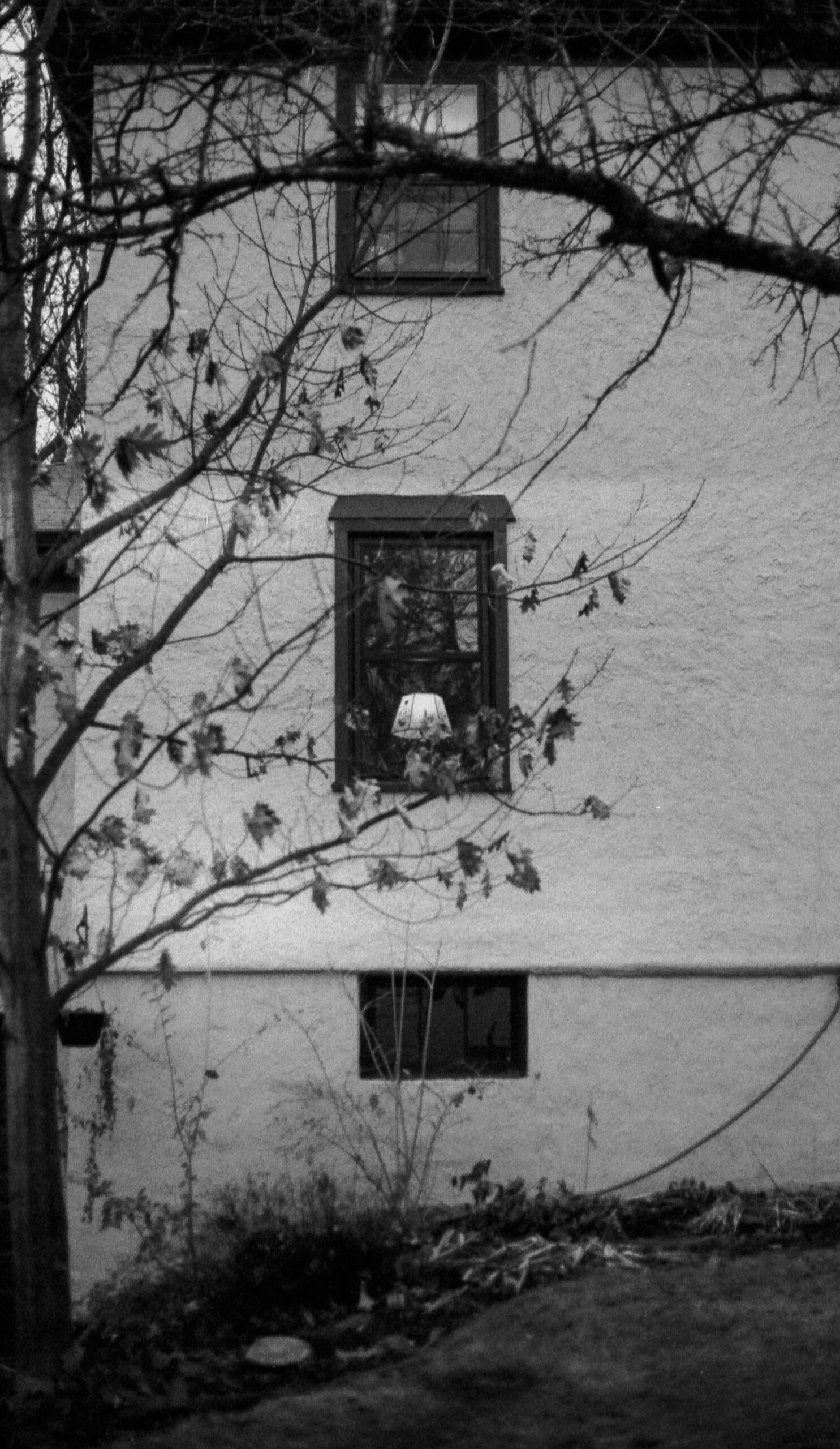 Mock_untitled_35mm bw film_8